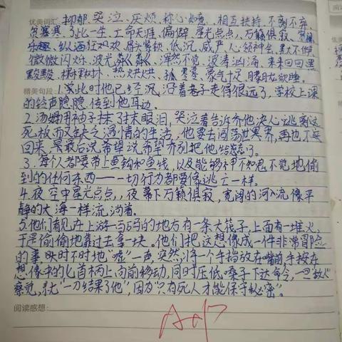 不动笔墨，不读书——四（12）班      《汤姆.索亚历险记》读书笔记展示