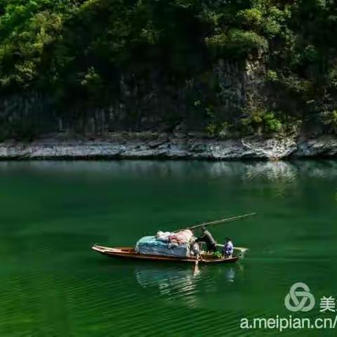 巫溪烤鱼哪里找 巴山美食味道好