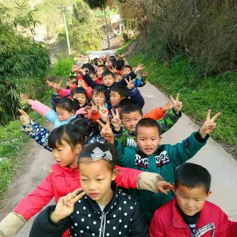 寻找美丽的春天