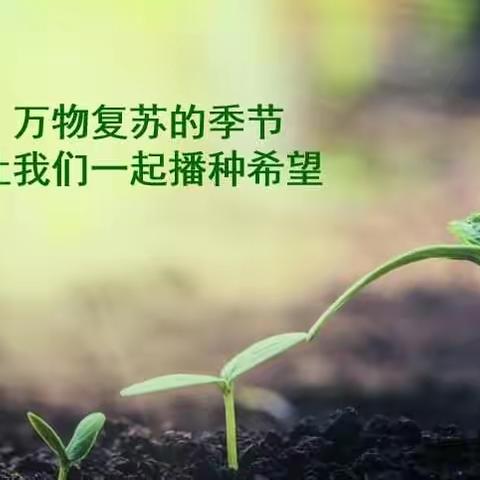 疫情难掩芳华 靓城提质校园在行动