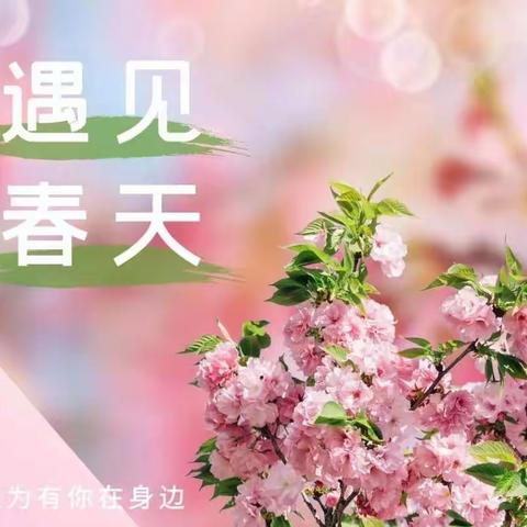 春风如贵客，一到便繁华——二(1)班