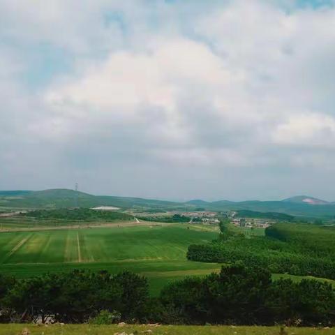 “我来给家乡上分了！”---七年一班暑假实践活动成果展示（第二小组）