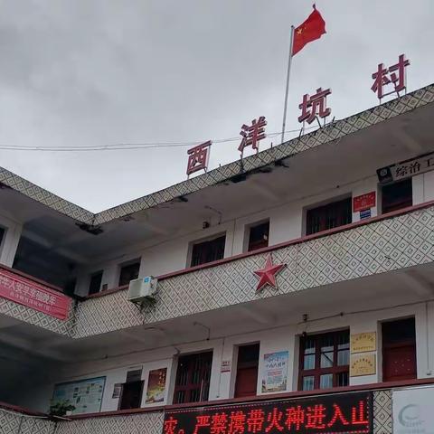 一村一品柿子村——西洋坑村