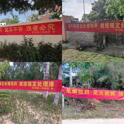 秸秆禁烧，新龙在行动（二）