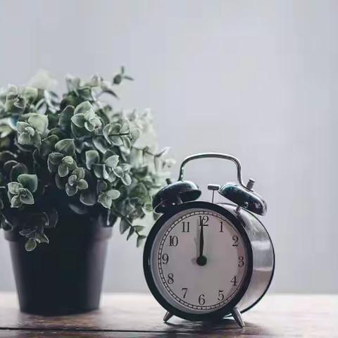 心若向阳   花自盛开