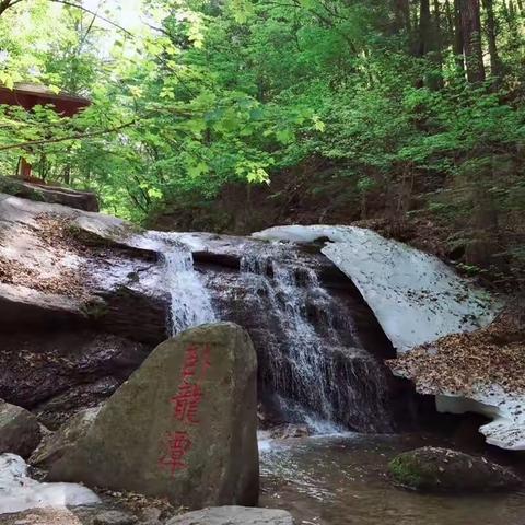 拥抱大自然，享受青山绿树——庆岭镇九年制学校研学旅行活动