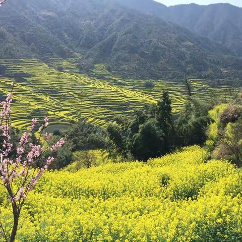 记忆2017_春到黄山婺源