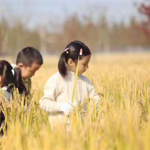 研学之旅，成长之行                             ——外语实验学校（小学部）“生命安全与劳动教育”主题研学活