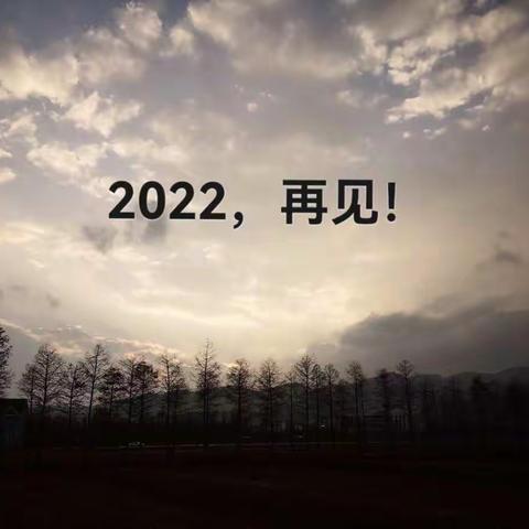 致渐露曙光的2022