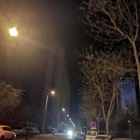 我的教学足迹