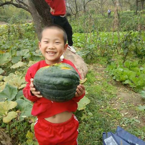 我劳动，我快乐———高红小学二年级（2）班