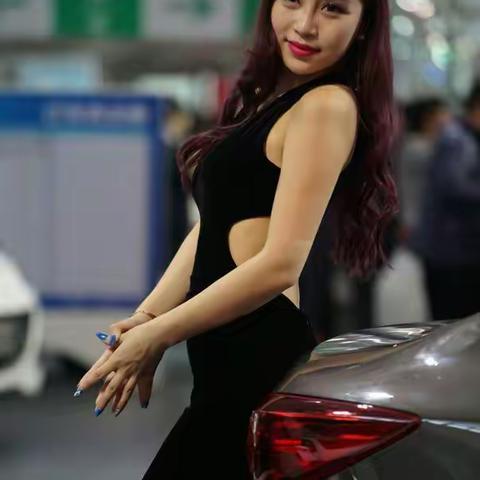 2016哈尔滨春季车展靓丽车模