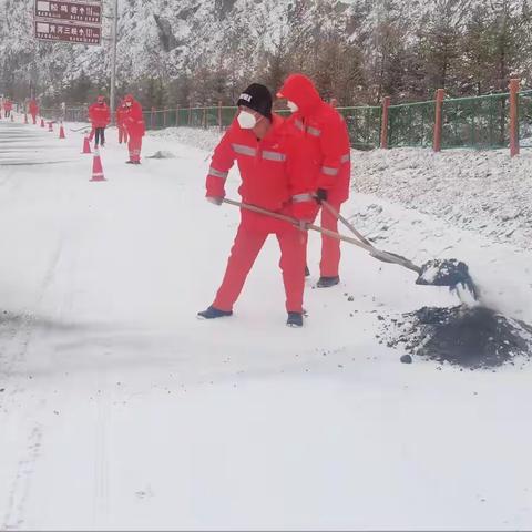 以“动”制“冻”，全力除雪