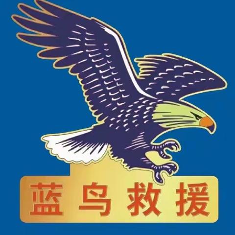 菏泽市蓝鸟志愿救援中心（4月、5月份）救援简报