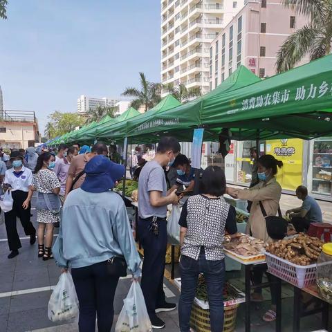 吉阳区乐天城消费助农集市简报