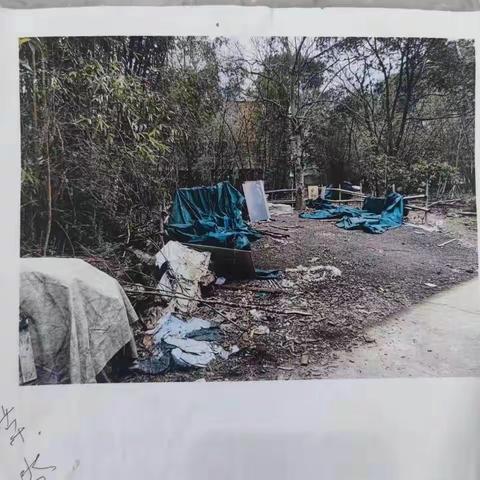 高楼镇：4月4日环境整治简报