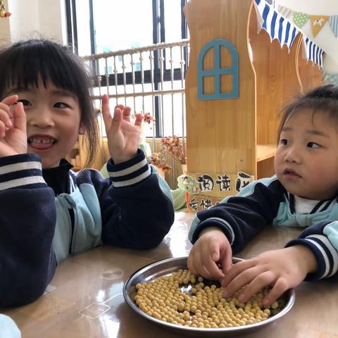 太安幼儿园苗苗四班第十周成长记录