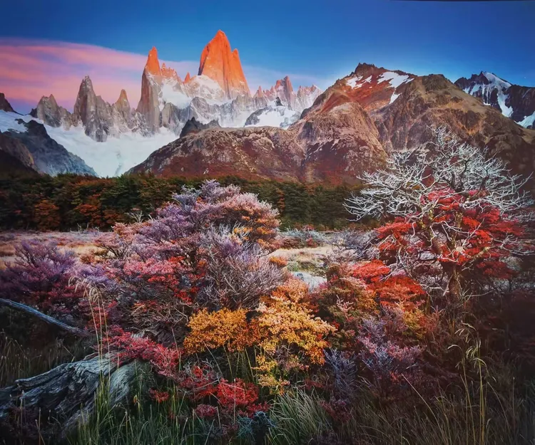 透过镜头看世界——北京国际摄影周作品展(一)