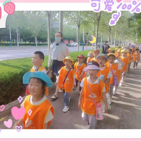 倾听儿童·“幼”见小学——中宁县第三幼儿园大一班第十八周精彩绽放🎥