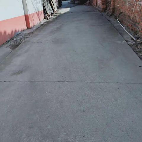 张岭村清理人居环境大扫除