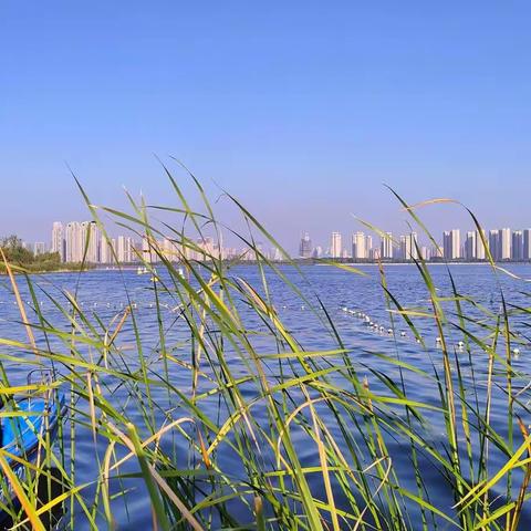 大美龙城＝肥美晋阳湖风景