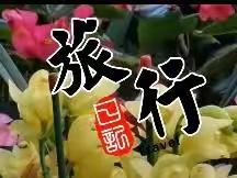 大美龙城＝冬天里的春色＝醉美植物园