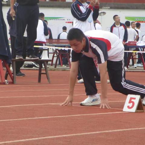 逐梦赛场，青春飞扬——高二（10）班运动会精彩瞬间