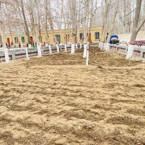 喀尔赛镇巴什科瑞克小学“种花植绿，美化校园”植树节主题实践活动