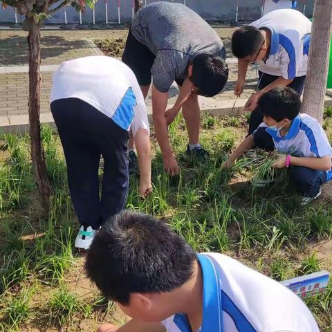 创建文明城市，守护美丽校园——市油田五中六（5）班“护校”行动剪影