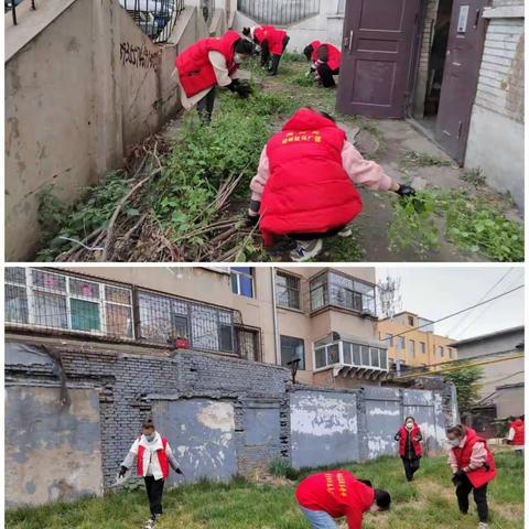 “城市大清洁”劳动最光荣