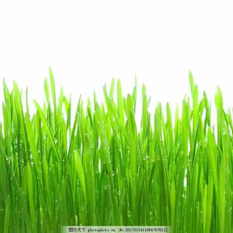 原创长篇小说疾风劲草        第三十二章  钟启明之托