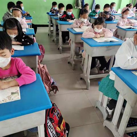 “双减”政策下的实践活动