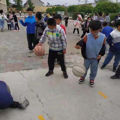 双减  实践活动