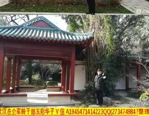 武汉微信《从头越》“时见鹿”学习点例会