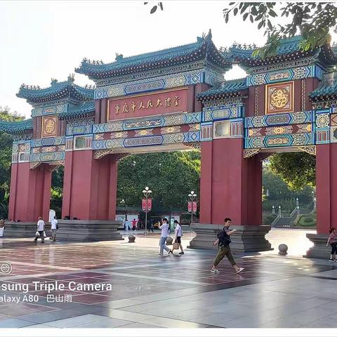 《清晨，去农贸市场的路上》随拍