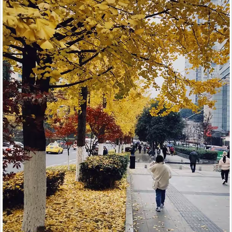 《纪念重庆第25中学初65级同学入学60周年同学会》