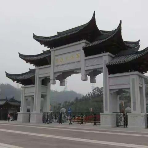 美不胜收      重庆园博园