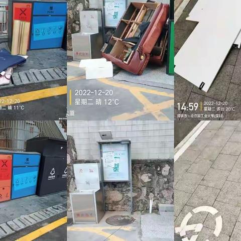 2022年12月20日桃源街道环卫项目工作日报