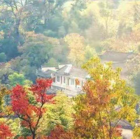 【慧丰清轩威县农村部】加强管理，自查自纠提质量