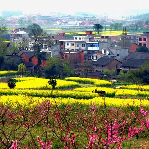 【慧丰清轩威县二部】环卫工人的日常工作