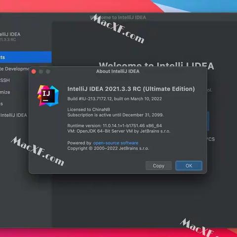 JetBrains IntelliJ IDEA 2021 Mac/win(Java开发工具)