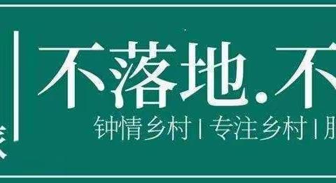 县委书记谈乡村振兴：要防止9大倾向性苗头性问题