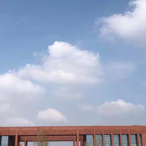 泪雨佳人的美篇