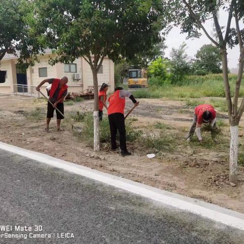 大训堡村组织开展"双城同创"志愿服务活动。