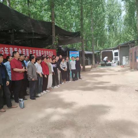 汝阳县2025年春季食用菌生产观摩交流现场会顺利举办