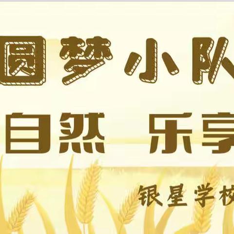 回归自然 乐享秋收