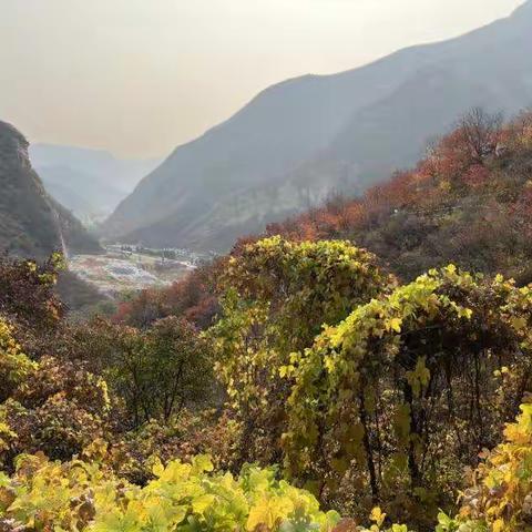 北京的秋🍁🍂