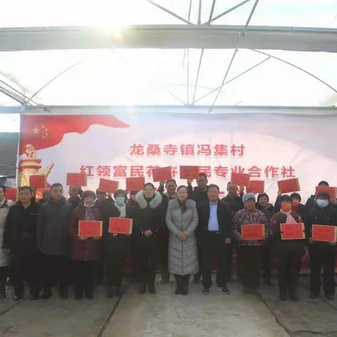 社员分红，集体增收  -- 商河县花卉产业“龙头企业+合作社+农户”模式的探索实录