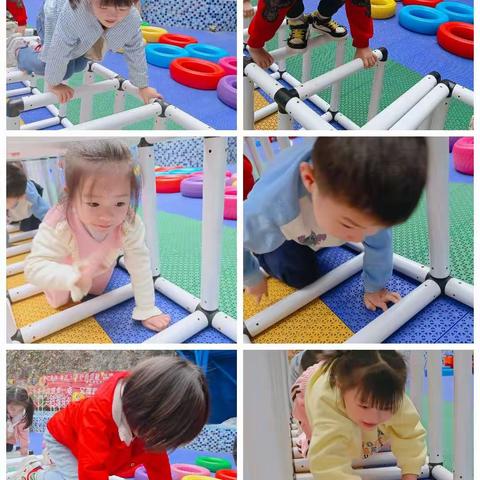生活明朗💕万物可爱🏫—《思南县伯乐幼儿园大一班》