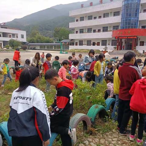 ～牛岭小学别样丰收节，“小小农场”欢乐多～